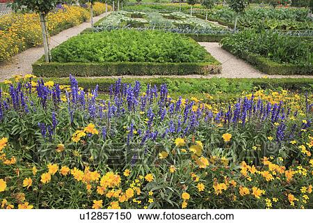 Stock Image - yellow, purple, beds, formal, green, gardens. Fotosearch