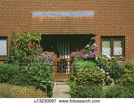 Yellow shrubs and flowering pink annual plants in front garden of newbuild brick house View Large Photo Image Stock Photo - Yellow shrubs and flowering pink annual plants in front garden of newbuild brick house. Fotosearch