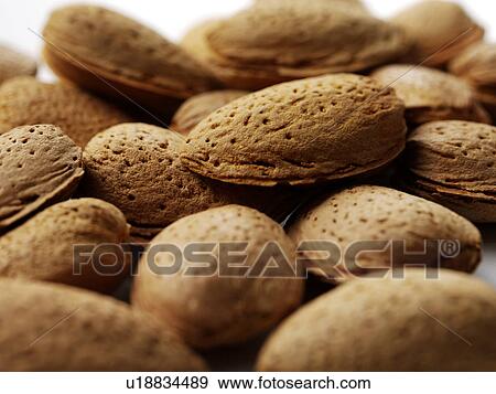 Stock Photo - Almonds. Fotosearch