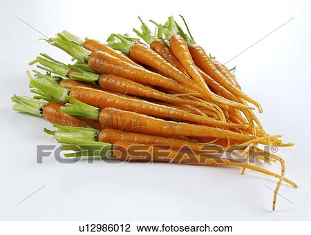 Carrots View Large Photo Image Stock Image - Carrots. Fotosearch