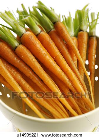 Carrots View Large Photo Image Stock Image - Carrots. Fotosearch