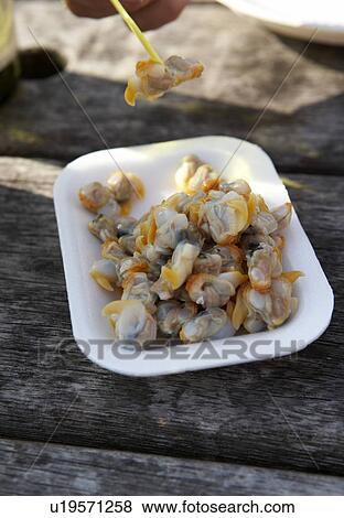 Stock Photo - Cockles. Fotosearch