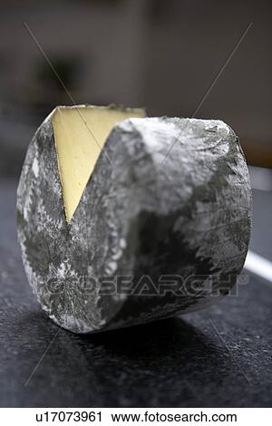 Cornish Nettle Yarg Cheese View Large Photo Image Stock Image - Cornish Nettle Yarg Cheese. Fotosearch