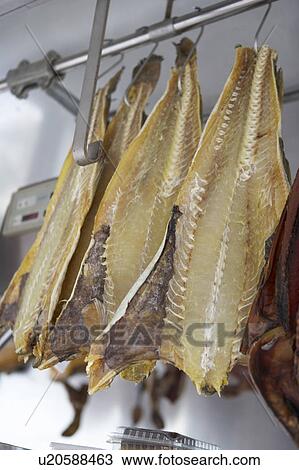 Stock Image - Dried Fish. Fotosearch