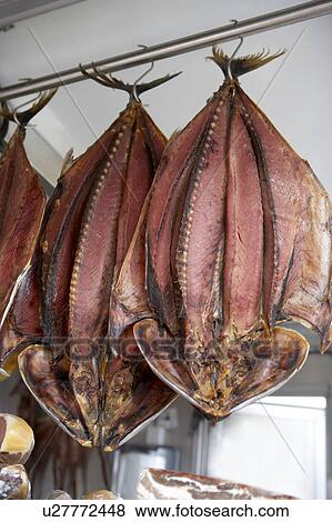 Stock Photo - Dried Fish. Fotosearch