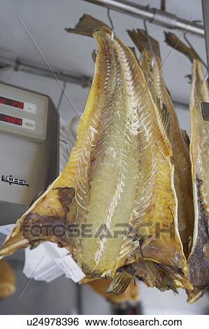 Dried Fish View Large Photo Image Stock Photograph - Dried Fish. Fotosearch