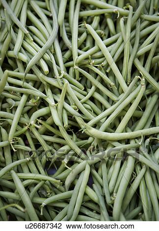 Green Beans View Large Photo Image Stock Image - Green Beans. Fotosearch