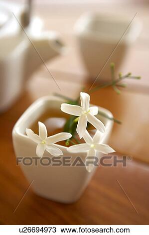 Stock Image - Jasmine Tea. Fotosearch