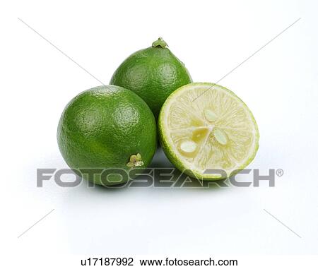 Stock Image - Limequats. Fotosearch