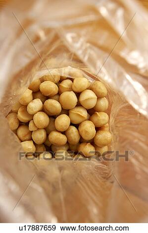 Macadamia Nuts View Large Photo Image Stock Photo - Macadamia Nuts. Fotosearch