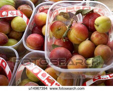 Plums View Large Photo Image Picture - Plums. Fotosearch
