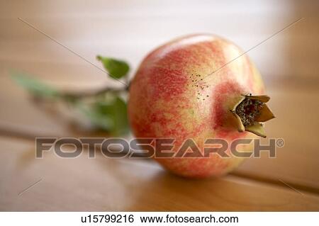 Stock Photograph - Pomegranate. Fotosearch