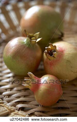 Stock Photograph - Pomegranate. Fotosearch