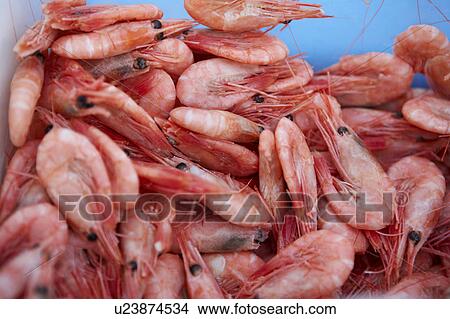 Prawns View Large Photo Image Picture - Prawns. Fotosearch