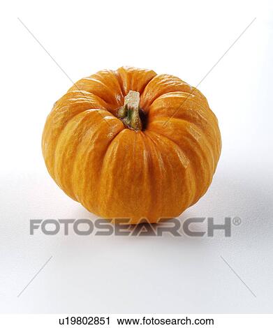 Stock Image - Pumpkin. Fotosearch