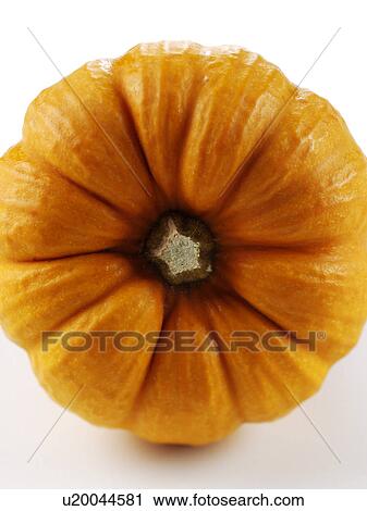 Pumpkin View Large Photo Image Stock Image - Pumpkin. Fotosearch