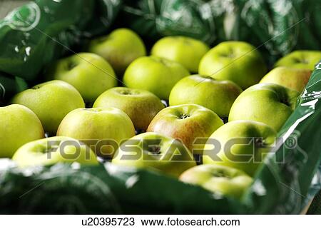 Tray of Apples View Large Photo Image Stock Image - Tray of Apples. Fotosearch