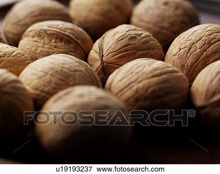 Walnuts View Large Photo Image Stock Photo - Walnuts. Fotosearch