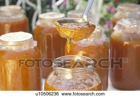 Stock Photograph -  abstract tree fruit wachau austria lower apricot. Fotosearch