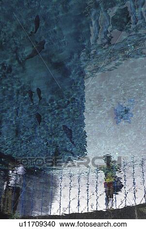 Stock Image -  abstract water pattern person art reflection . Fotosearch