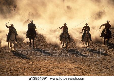 animals country life cowboy hats cowboys day View Large Photo Image Stock Image - animals country life cowboy hats cowboys day. Fotosearch