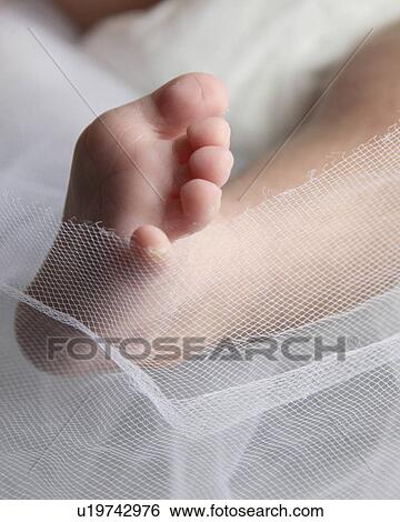 baby design children babys bare foot in moose View Large Photo Image Stock Photograph - baby design children babys bare foot in moose . Fotosearch