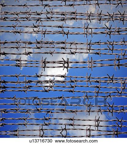 background barbed wire barbwire closeup confined View Large Photo Image Stock Image - background barbed wire barbwire closeup confined. Fotosearch