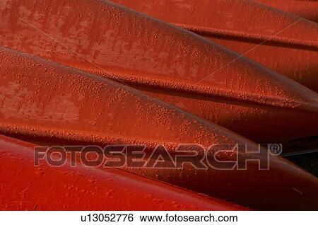 Stock Photograph -  background design pattern nature texture beauty . Fotosearch