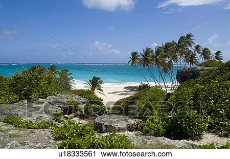 Stock Image -  beach beautiful peaceful secluded palm trees. Fotosearch