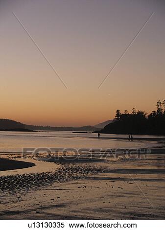 Stock Photography -  beach beautiful sunset in tofino canada british . Fotosearch