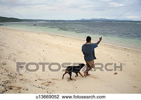 beach dog people person fiji pio buisena View Large Photo Image Stock Image - beach dog people person fiji pio buisena . Fotosearch