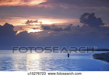 beach silhouette tree sun korolevu sunset fiji View Large Photo Image Stock Image - beach silhouette tree sun korolevu sunset fiji. Fotosearch
