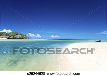 beach water natadola coral coast fiji trees sand View Large Photo Image Stock Image - beach water natadola coral coast fiji trees sand. Fotosearch