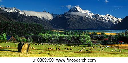 beauty south island new zealand twd mount mt. View Large Photo Image Stock Image - beauty south island new zealand twd mount mt. . Fotosearch