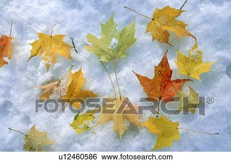 Stock Photograph -  between seasons in ripton vt where robert frost. Fotosearch