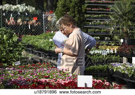 Stock Photograph -  business shopping women retail nursery gardening. Fotosearch