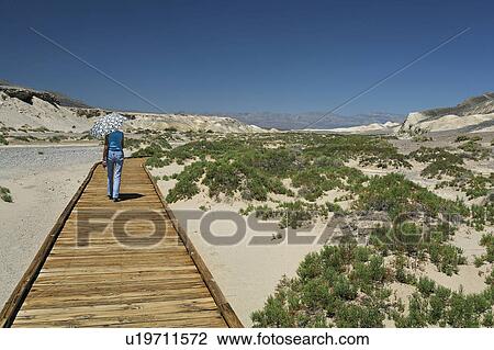 california death valley salt creek boardwalk View Large Photo Image Stock Image - california death valley salt creek boardwalk. Fotosearch