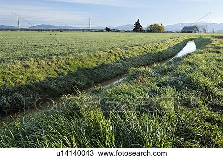 Stock Image -  canal through field mount mt. vernon skagit . Fotosearch