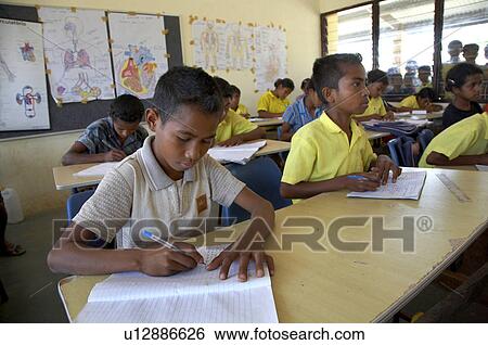 child school children timor leste classroom usi View Large Photo Image Stock Photograph - child school children timor leste classroom usi. Fotosearch