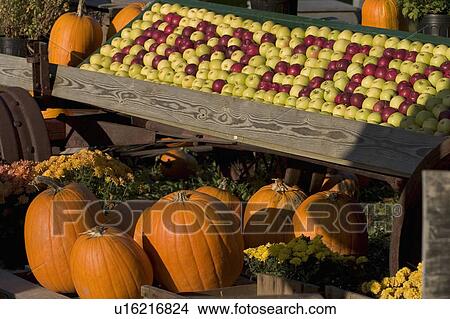 design allenholm orchard stand south hero vt View Large Photo Image Picture - design allenholm orchard stand south hero vt . Fotosearch