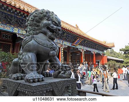 Stock Image -  design frame summer construction beauty lion . Fotosearch