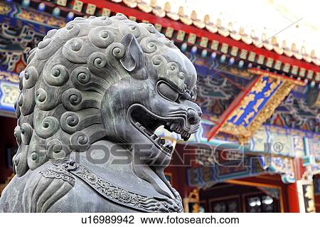 design frame summer construction beauty lion  View Large Photo Image Stock Image -  design frame summer construction beauty lion . Fotosearch