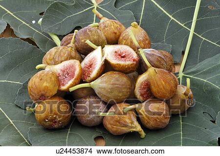 Picture -  design fruit leaf fresh figs cut fig on dried . Fotosearch