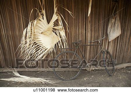 design house timor leste bicycle coconut palm View Large Photo Image Stock Photo - design house timor leste bicycle coconut palm. Fotosearch