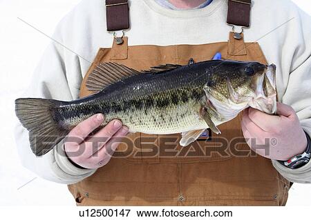 design winter ice fishing highland lake stoddard View Large Photo Image Stock Photo - design winter ice fishing highland lake stoddard. Fotosearch