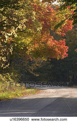 dirt road in isle lamotte vt lake champlain dirt View Large Photo Image Stock Image - dirt road in isle lamotte vt lake champlain dirt. Fotosearch