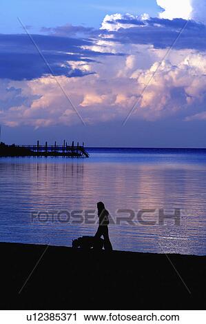 dog summer walking under sunset storm clouds View Large Photo Image Stock Image - dog summer walking under sunset storm clouds. Fotosearch