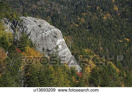 Stock Photo -  elephant head crawford notch fall foliage white. Fotosearch