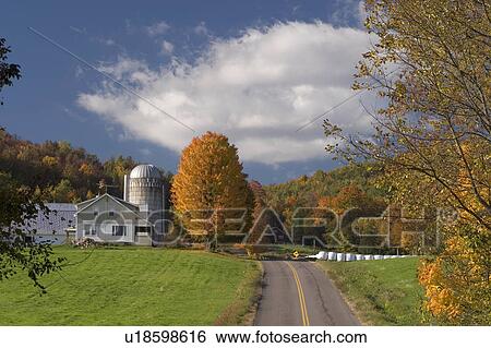 farm in cambridge vermont fall vt autumn foliage View Large Photo Image Stock Photograph - farm in cambridge vermont fall vt autumn foliage. Fotosearch