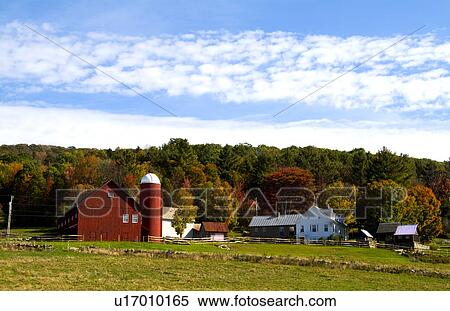farm in fall color foliage weston vermont colour View Large Photo Image Stock Photography - farm in fall color foliage weston vermont colour. Fotosearch